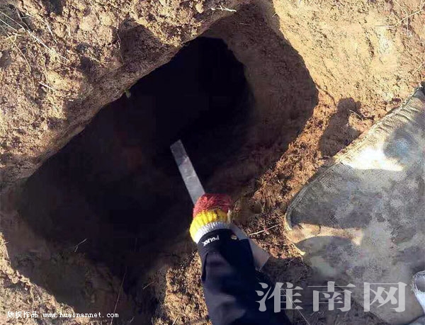 五名男子盗掘武王墩古墓-淮南网