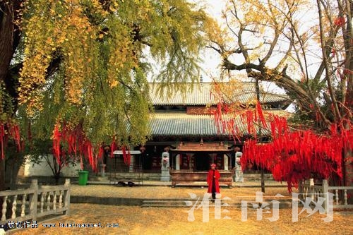 淮南：气氛热 文化浓 这个中秋假期玩嗨了